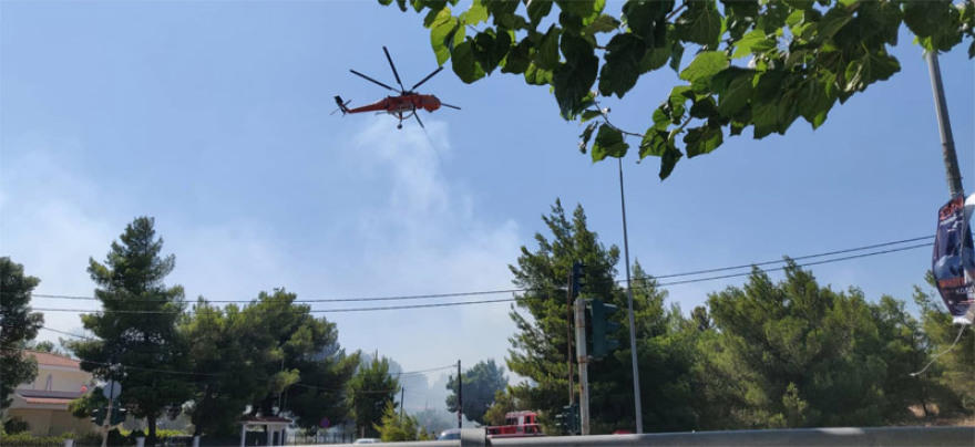 Φωτιές σε Ραφήνα και Βαρνάβα: Άμεση κινητοποίηση της Πυροσβεστικής - Τέθηκαν υπό έλεγχο