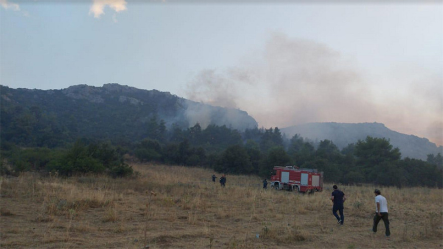 Τανάγρα: Ολονύχτια μάχη με τις φλόγες - Σε τρία μέτωπα η φωτιά 