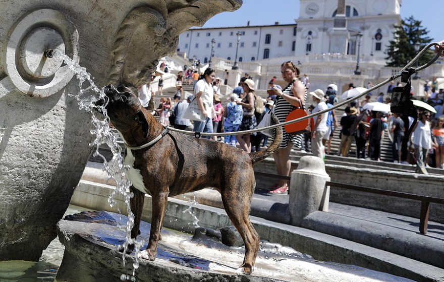 Καύσωνας στην Ευρώπη: Ρεκόρ ζέστης σε Βέλγιο, Ολλανδία και Γερμανία - Ποιες χώρες θα «λιώσουν» σήμερα