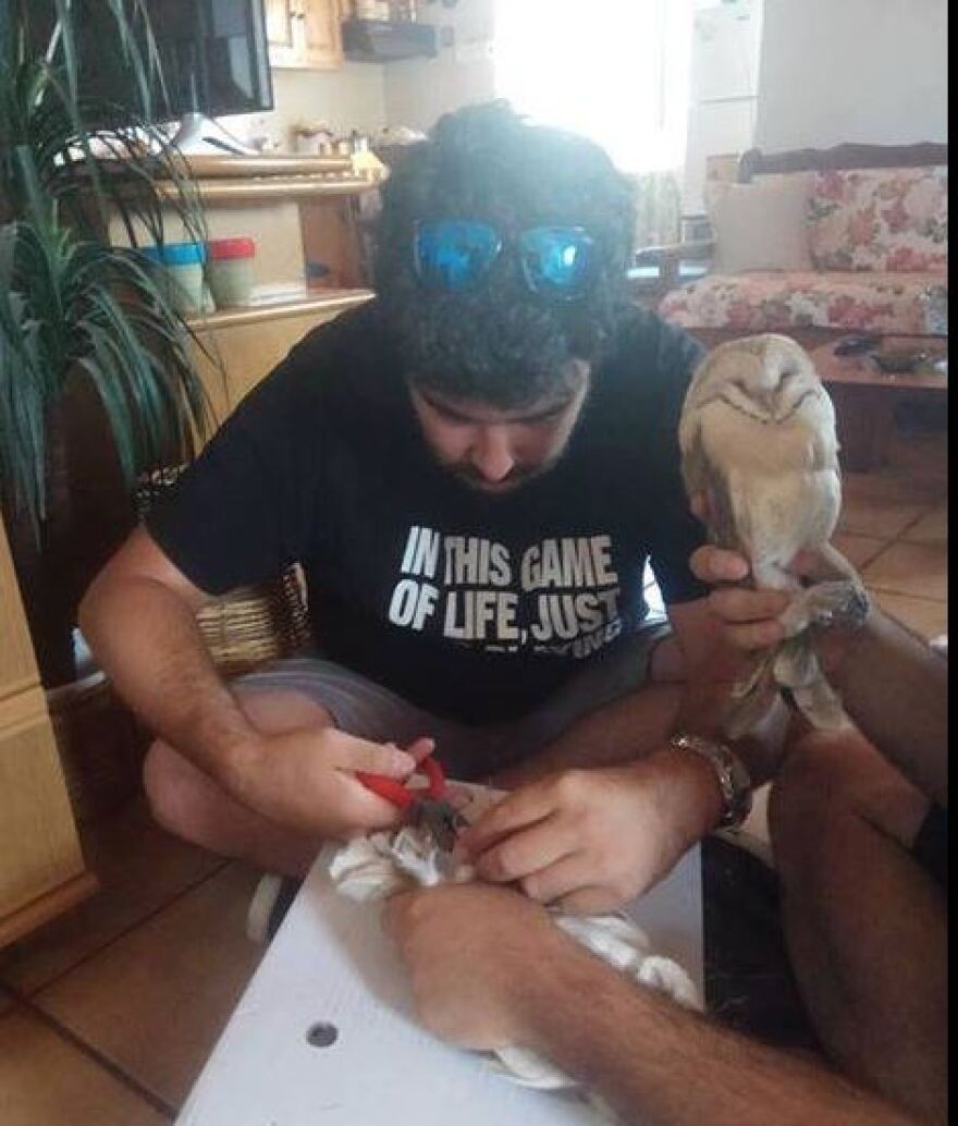 Μυτιλήνη: Επιχείρηση διάσωσης για έξι μικρές κουκουβάγιες που είχαν εγκλωβιστεί σε πατάρι