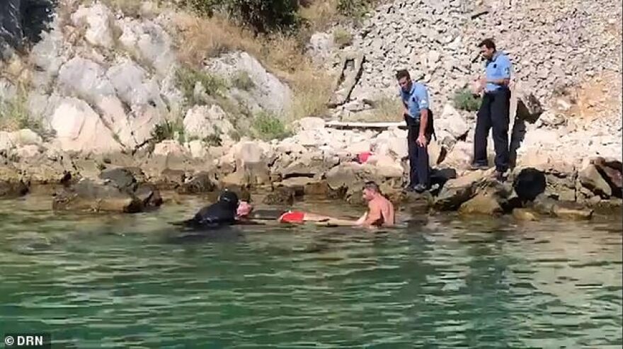 Τρομακτικό βίντεο: 'Εκανε βουτιά από γέφυρα 40 μέτρων και έσπασε τη λεκάνη του