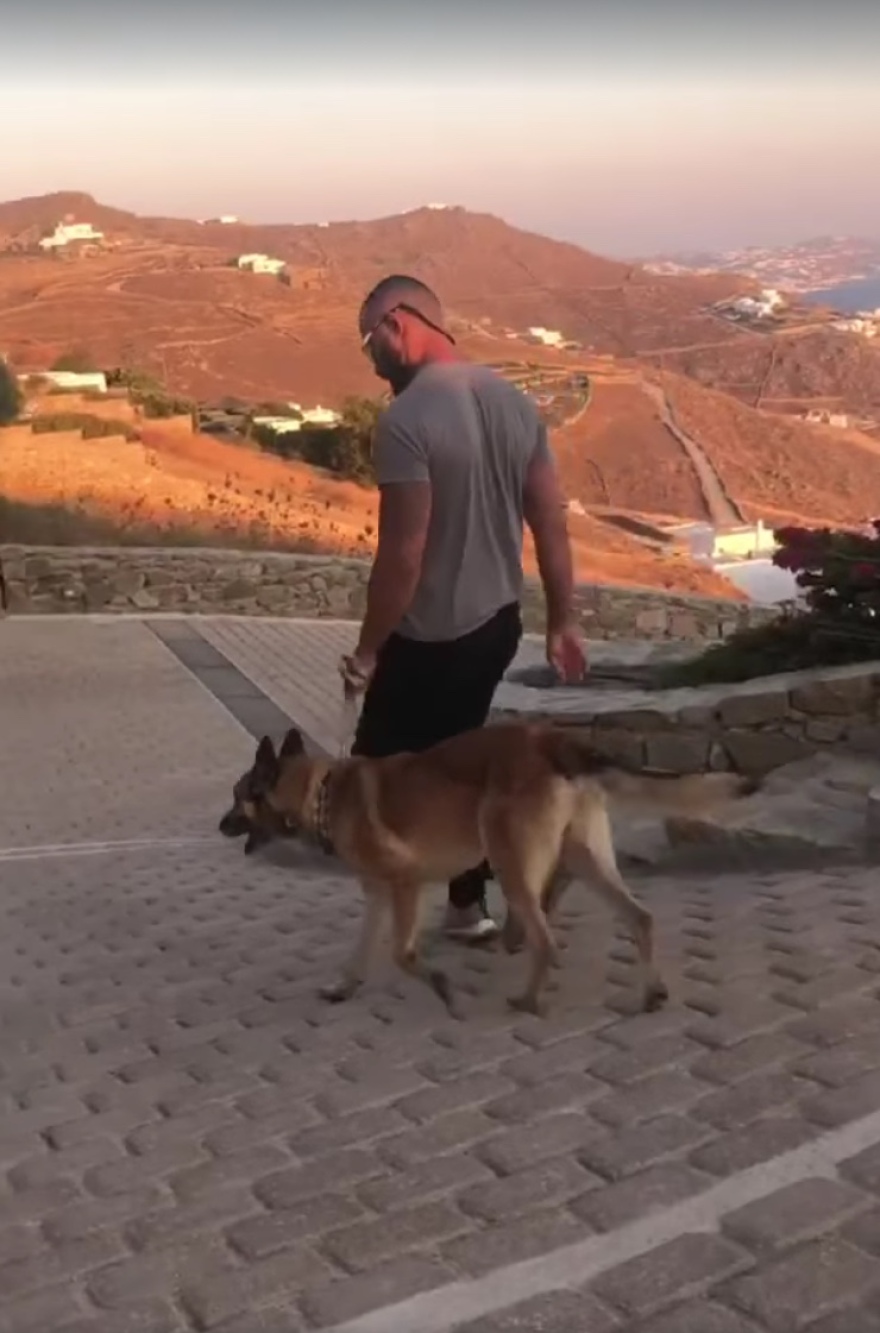 Μύκονος: Φέρνουν σκύλους - bodyguards για να προσέχουν τις βίλες