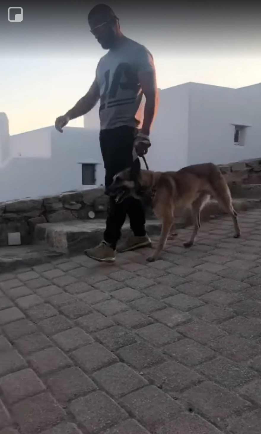 Μύκονος: Φέρνουν σκύλους - bodyguards για να προσέχουν τις βίλες