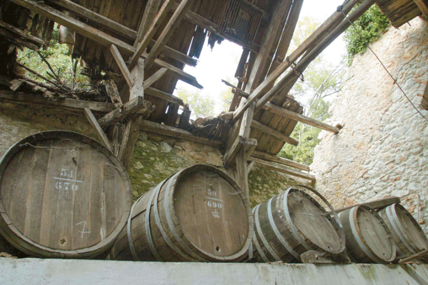 «Βασιλική» επένδυση στην ιστορία  και το περιβάλλον