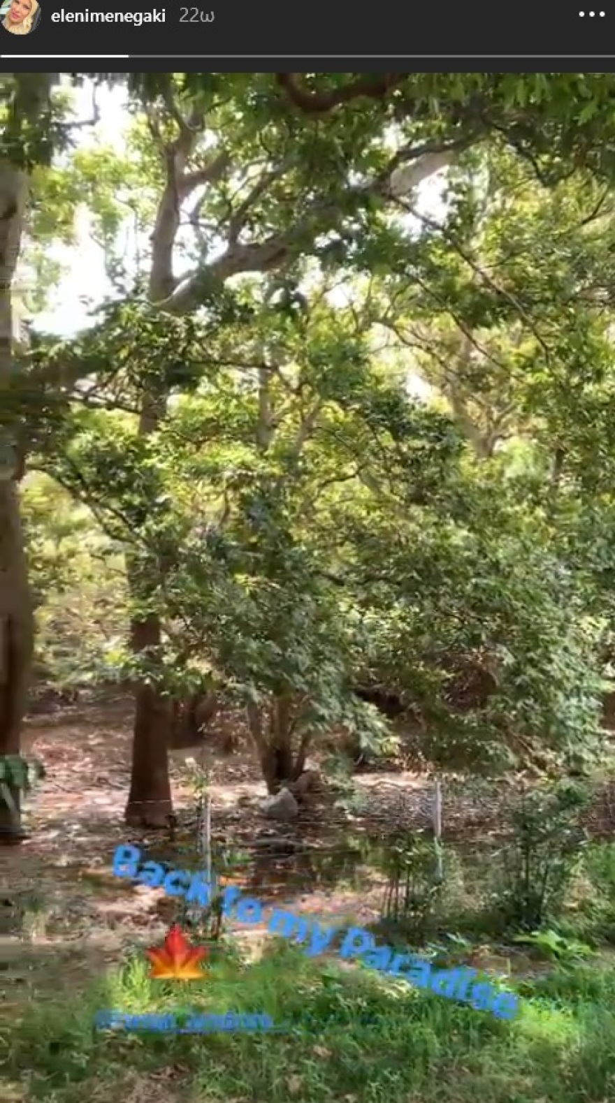 Ελένη Μενεγάκη: Οι βουτιές στην Ψαρρού και η επιστροφή στην Άνδρο