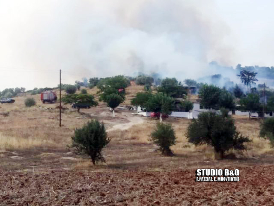 Πυρκαγιά στο Κουτσοπόδι Αργολίδας