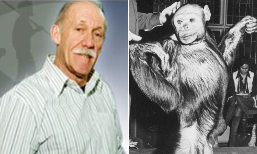 Επιστήμονας υποστηρίζει ότι έχει υπάρξει υβρίδιο ανθρώπου – χιμπαντζή 