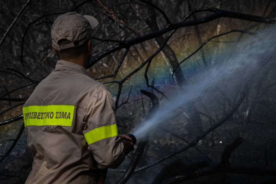 Μεγάλη η περιβαλλοντική καταστροφή από τη φωτιά στην Αρχαία Ολυμπία