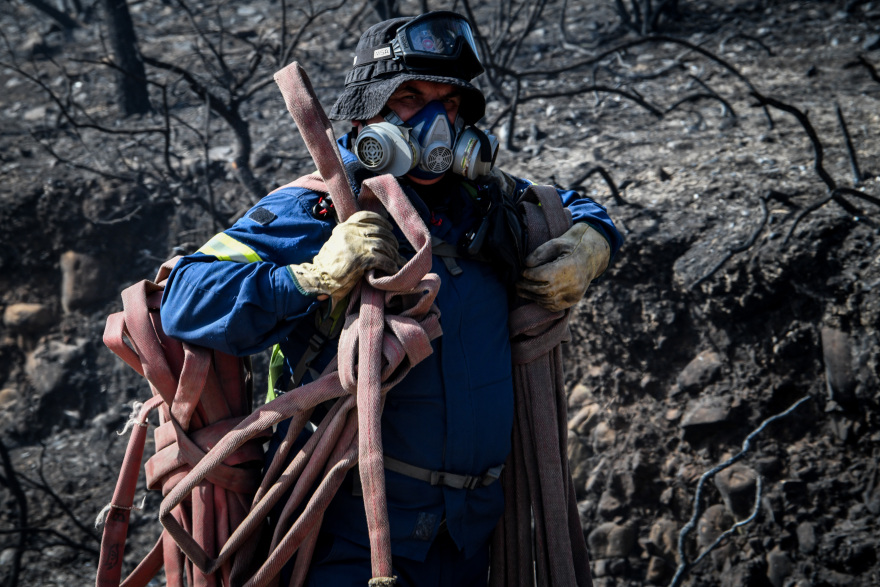 Μεγάλη η περιβαλλοντική καταστροφή από τη φωτιά στην Αρχαία Ολυμπία