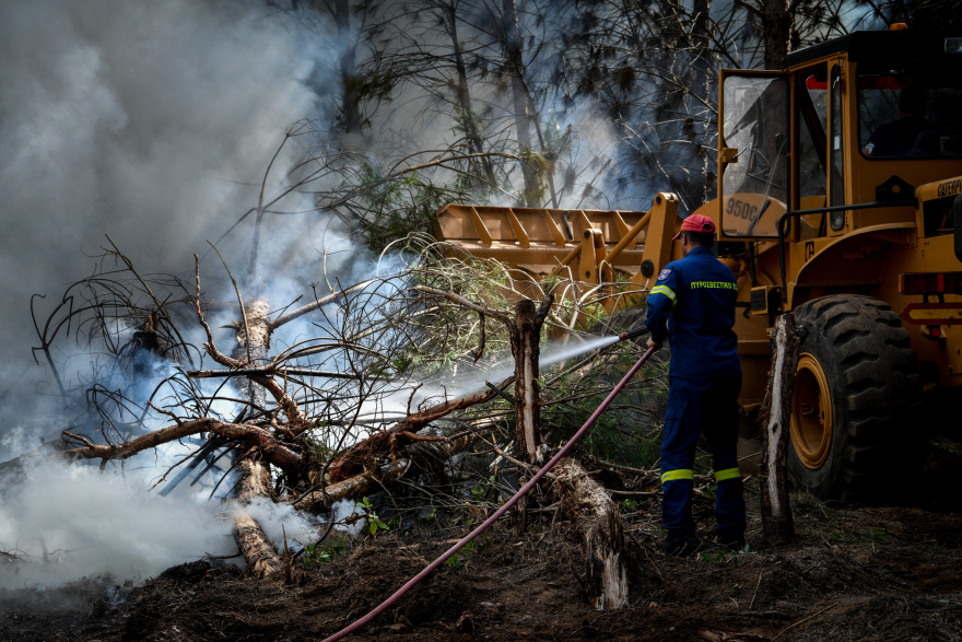 Μεγάλη η περιβαλλοντική καταστροφή από τη φωτιά στην Αρχαία Ολυμπία