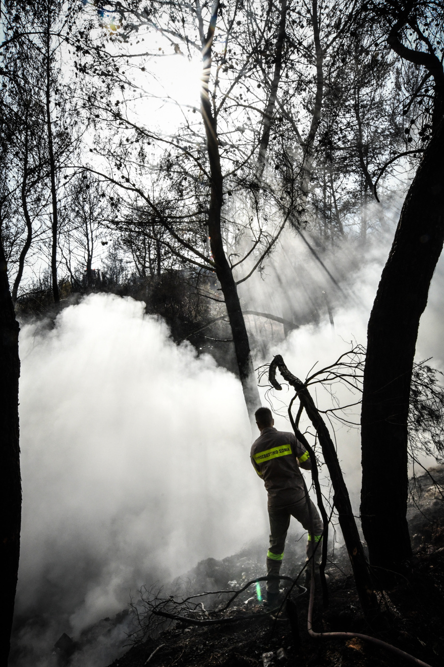 Μεγάλη η περιβαλλοντική καταστροφή από τη φωτιά στην Αρχαία Ολυμπία