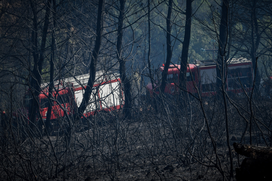Μεγάλη η περιβαλλοντική καταστροφή από τη φωτιά στην Αρχαία Ολυμπία