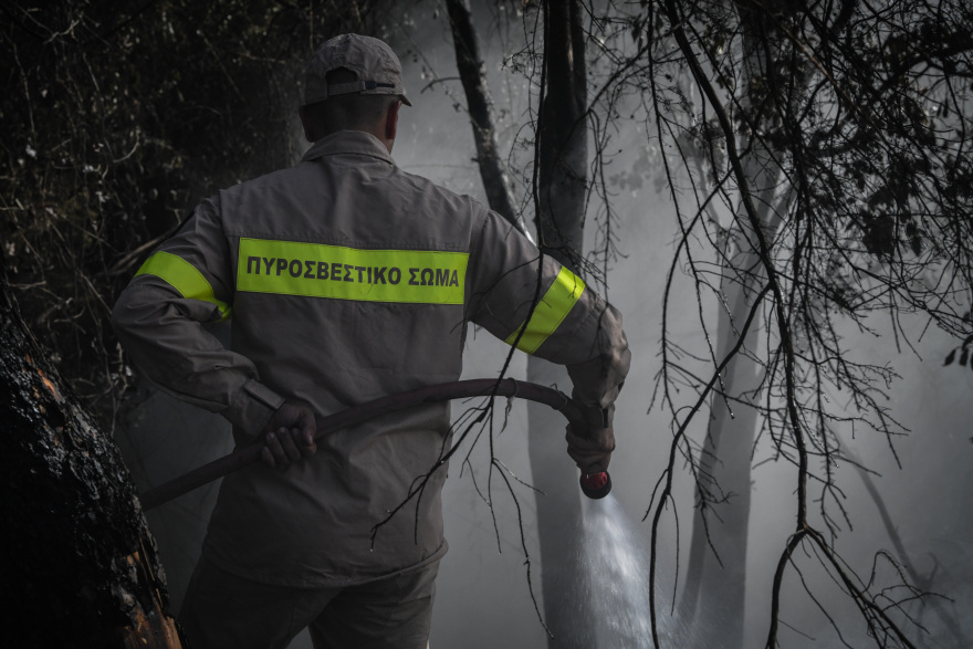 Μεγάλη η περιβαλλοντική καταστροφή από τη φωτιά στην Αρχαία Ολυμπία