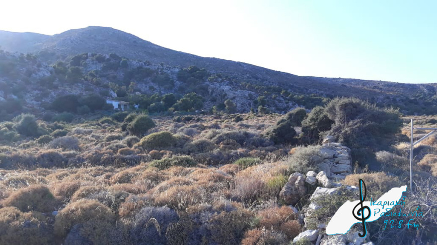 Ικαρία: Πώς έχασε τη ζωή της η 35χρονη αστροφυσικός - Οι ολέθριες συγκυρίες που την «καταδίκασαν»