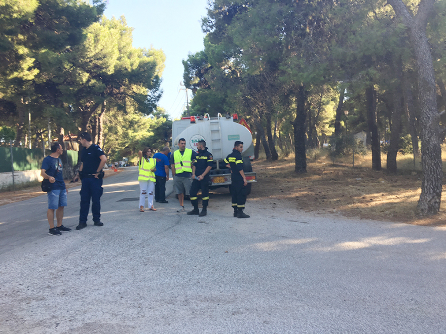 Ξέσπασαν 59 φωτιές σε ένα 24ωρο - Σε ύφεση όλα τα μέτωπα 