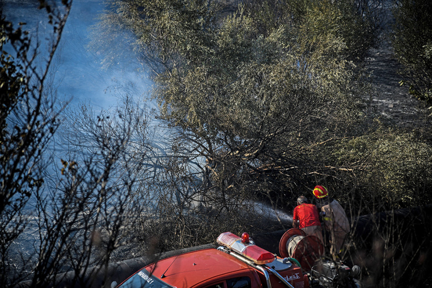 Ξέσπασαν 59 φωτιές σε ένα 24ωρο - Σε ύφεση όλα τα μέτωπα 