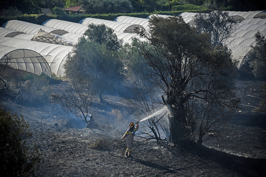 Ξέσπασαν 59 φωτιές σε ένα 24ωρο - Σε ύφεση όλα τα μέτωπα 