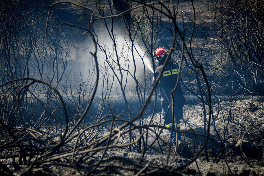 Ξέσπασαν 59 φωτιές σε ένα 24ωρο - Σε ύφεση όλα τα μέτωπα 