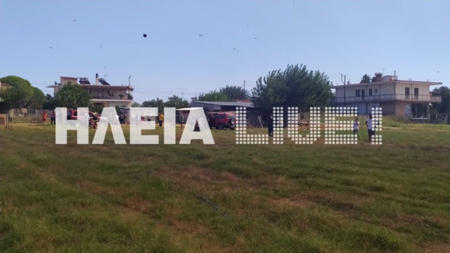 Ηλεία: Υπό έλεγχο η φωτιά που ξέσπασε στη Βάρδα