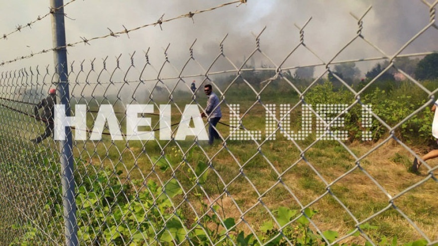 Ηλεία: Υπό έλεγχο η φωτιά που ξέσπασε στη Βάρδα