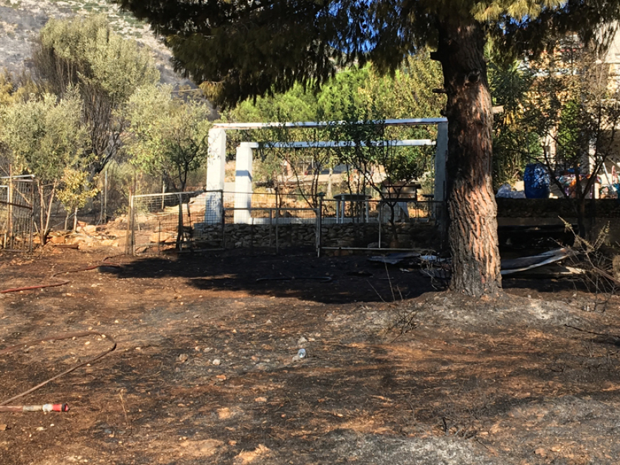 Φωτιά στον Υμηττό: «Μας φώναζαν βγείτε έξω, βγείτε έξω γρήγορα» 