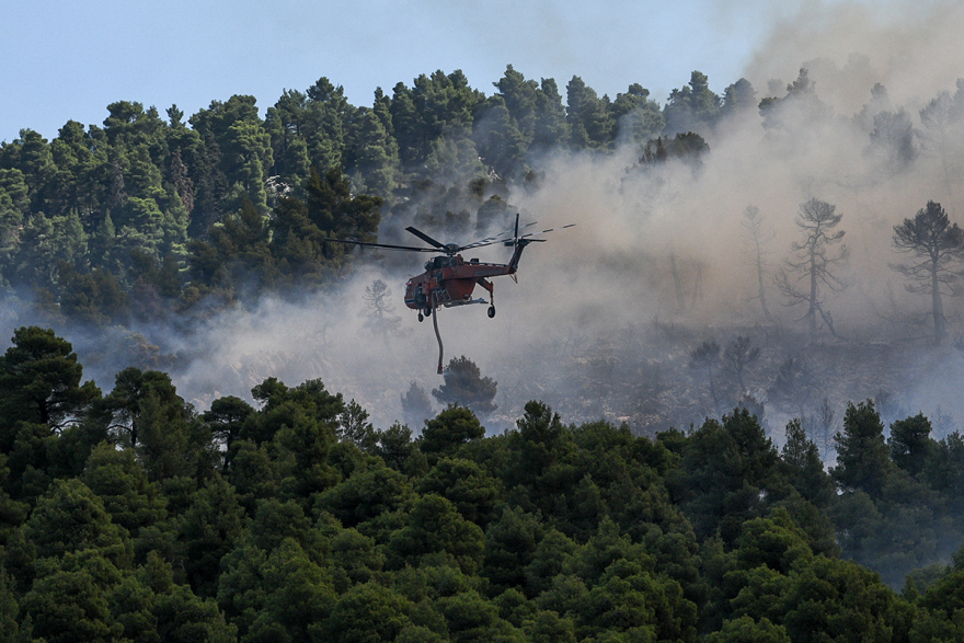 Ανεξέλεγκτη η φωτιά στην Εύβοια: Καίγεται το δάσος - Ενισχύονται οι δυνάμεις της πυροσβεστικής