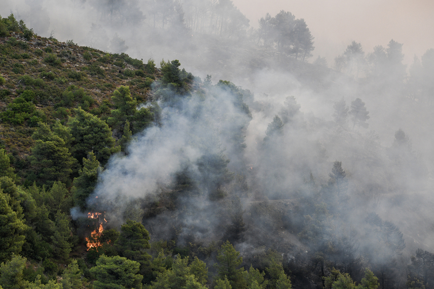Ανεξέλεγκτη η φωτιά στην Εύβοια: Καίγεται το δάσος - Ενισχύονται οι δυνάμεις της πυροσβεστικής