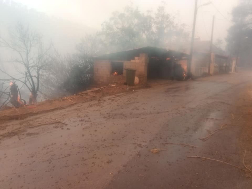 Εκτός ελέγχου η φωτιά στην Εύβοια - Εκκενώθηκαν τέσσερα χωριά