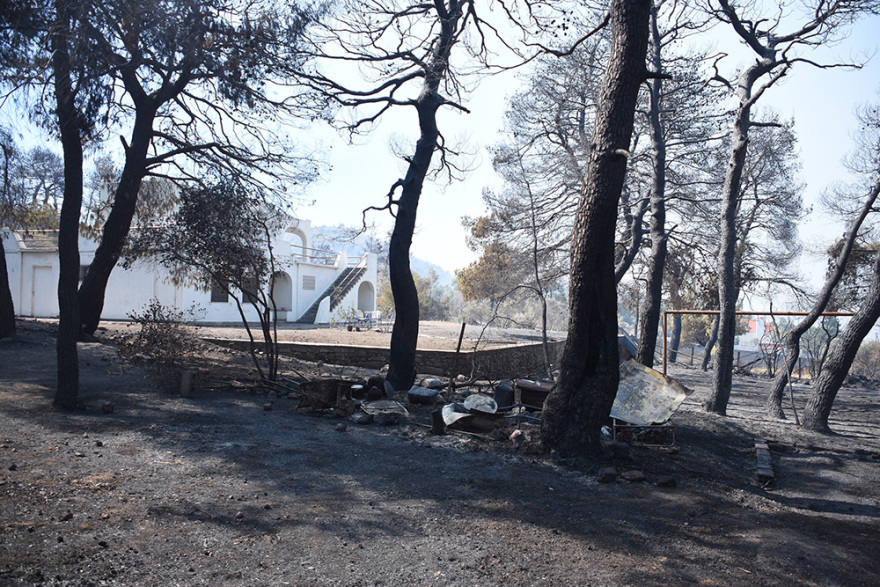 Εύβοια: Στάχτη 25.000 στρέμματα δάσους - Τεράστια η οικολογική καταστροφή