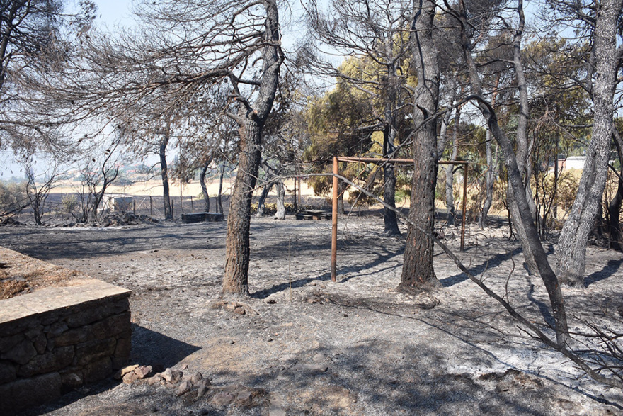 Εύβοια: Στάχτη 25.000 στρέμματα δάσους - Τεράστια η οικολογική καταστροφή