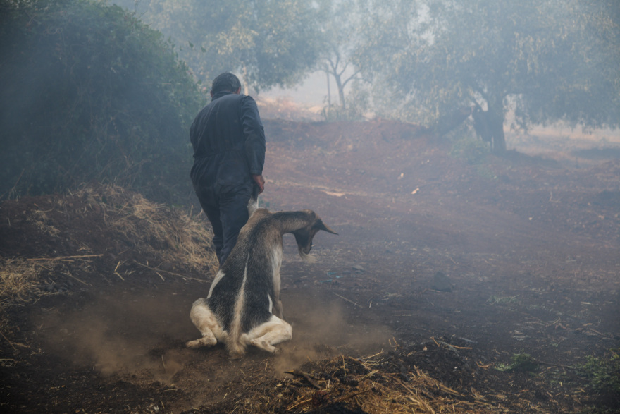 Τρίτη ημέρα καίει η φωτιά στην Εύβοια: Η «μάχη» επικεντρώνεται σε χαράδρα στην Πλατάνα