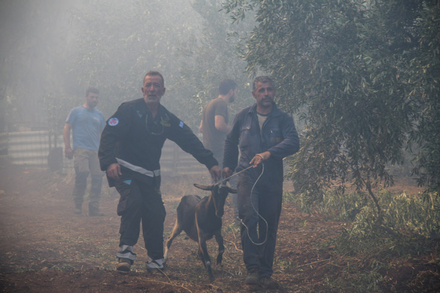 Τρίτη ημέρα καίει η φωτιά στην Εύβοια: Η «μάχη» επικεντρώνεται σε χαράδρα στην Πλατάνα