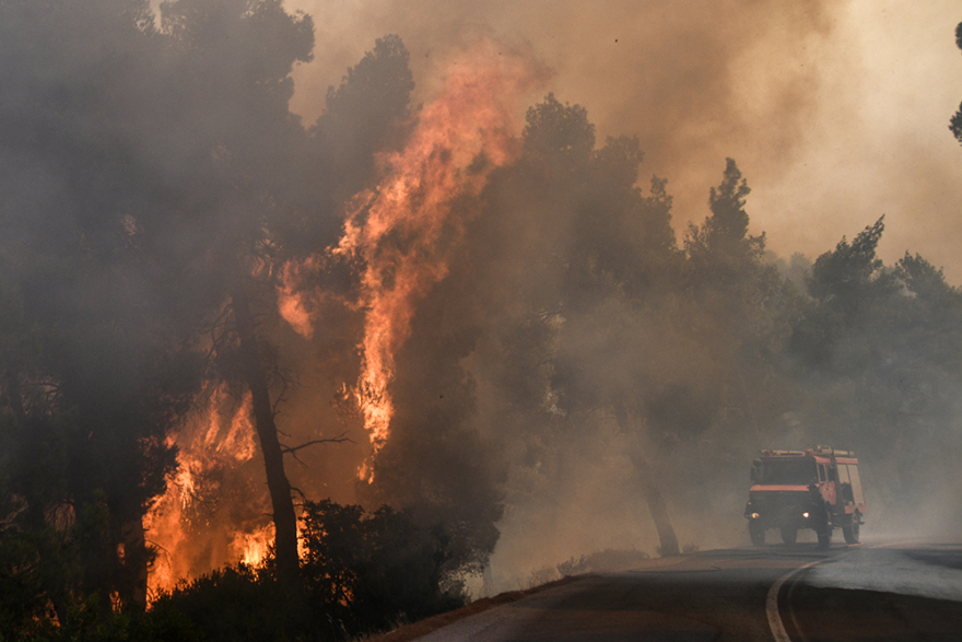 Φωτιά στην Εύβοια: Σε Πλατάνα και Κοκκάλα η μεγάλη «μάχη» των πυροσβεστών 