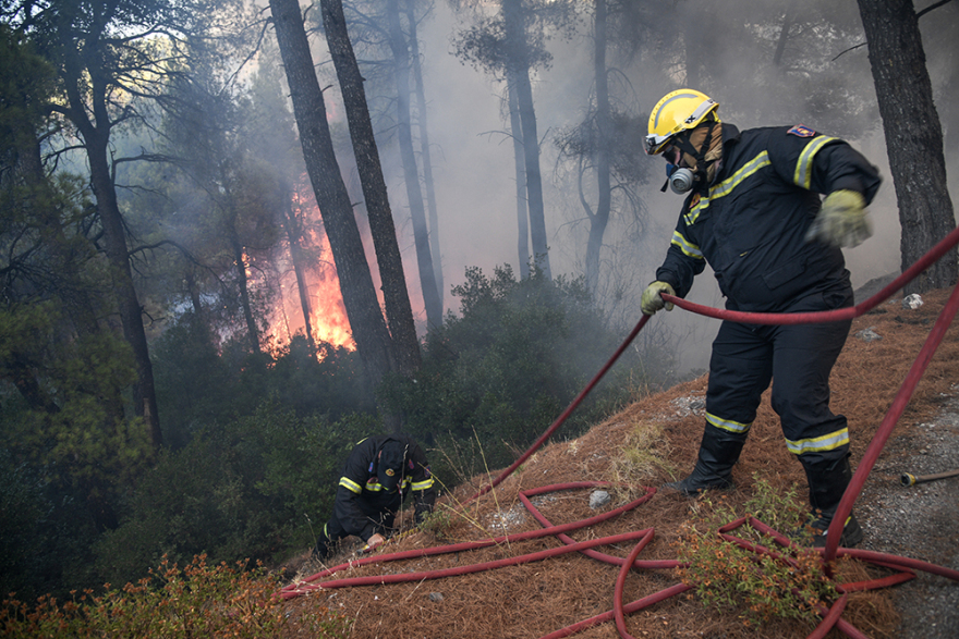 Φωτιά στην Εύβοια: Σε Πλατάνα και Κοκκάλα η μεγάλη «μάχη» των πυροσβεστών 