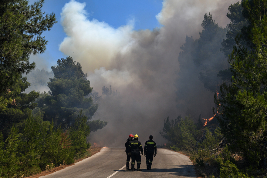 Φωτιά στην Εύβοια: Σε Πλατάνα και Κοκκάλα η μεγάλη «μάχη» των πυροσβεστών 