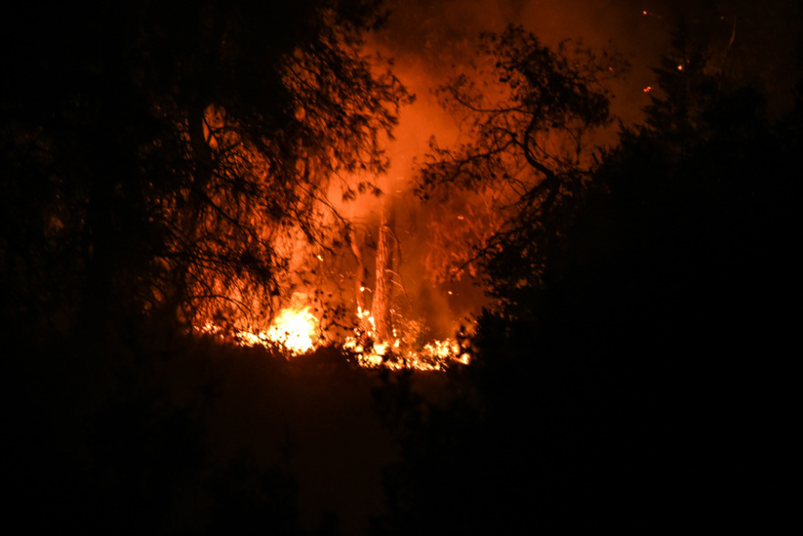 Φωτιά στην Εύβοια: Η μάχη με τις φλόγες σε 15 καρέ