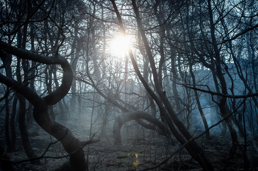 Φωτιά στην Εύβοια: Μέτωπο χιλιομέτρων από τις αναζωπυρώσεις - Αγωνία για την Πλατάνα
