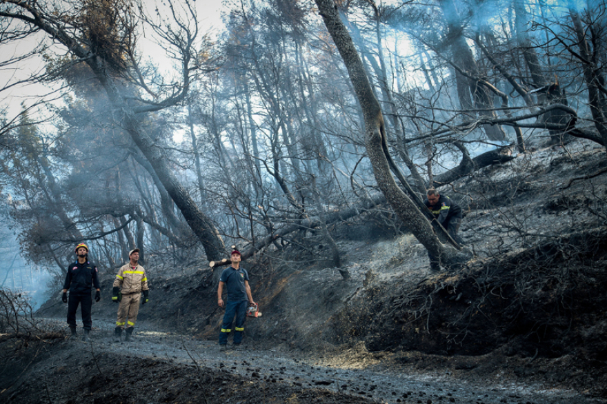 Φωτιά στην Εύβοια: Μέτωπο χιλιομέτρων από τις αναζωπυρώσεις - Αγωνία για την Πλατάνα
