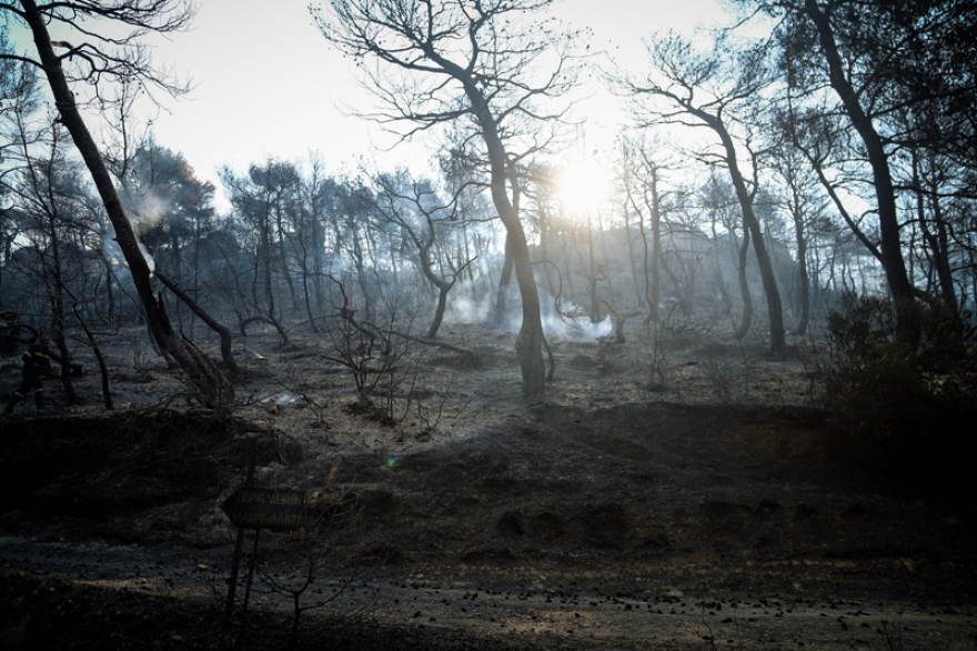 Φωτιά στην Εύβοια: Μέτωπο χιλιομέτρων από τις αναζωπυρώσεις - Αγωνία για την Πλατάνα
