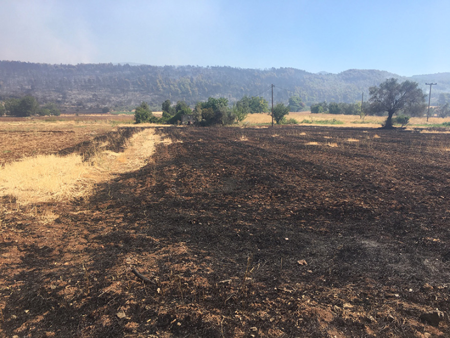 Φωτιά στην Εύβοια: Ενδείξεις για εμπρησμό ερευνά η Πυροσβεστική