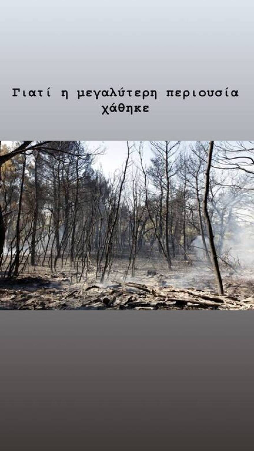 Οι φλόγες απείλησαν το χωριό της Κατερίνας Ζαρίφη - Το δημόσιο ξέσπασμα της παρουσιάστριας