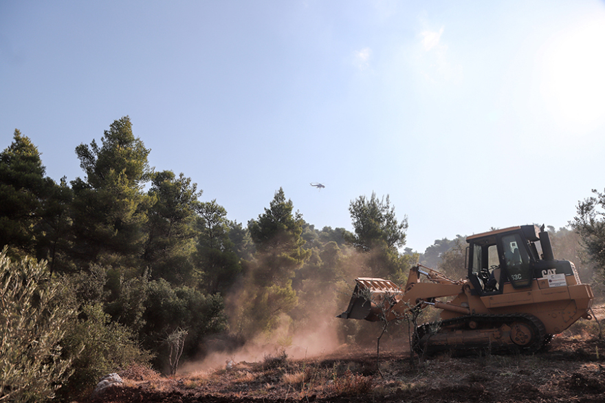 Φωτιά στην Εύβοια: Σαφείς ενδείξεις εμπρησμού - «Αμυνα» για τους οικισμούς οι ζώνες πυρασφάλειας 