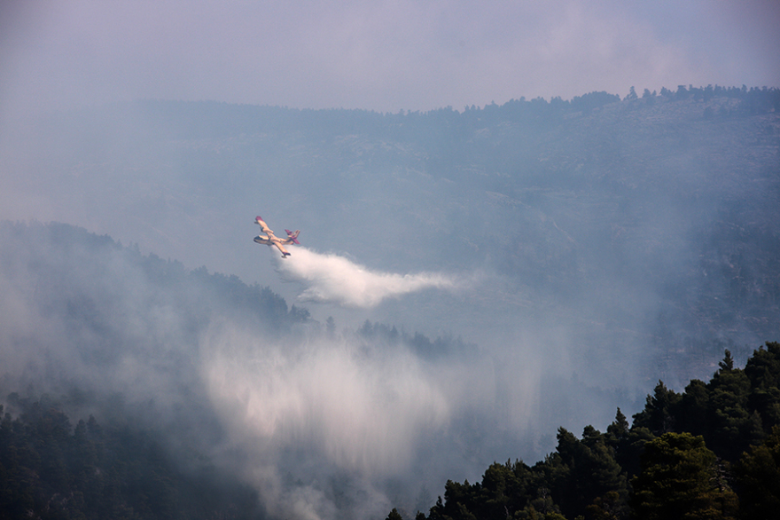 Φωτιά στην Εύβοια: Σαφείς ενδείξεις εμπρησμού - «Αμυνα» για τους οικισμούς οι ζώνες πυρασφάλειας 