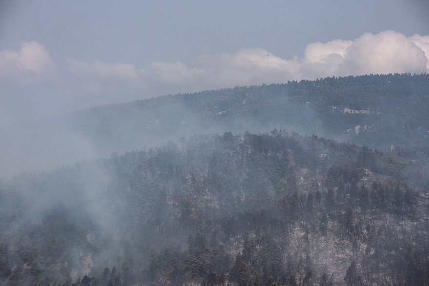 Φωτιά στην Εύβοια: Σαφείς ενδείξεις εμπρησμού - «Αμυνα» για τους οικισμούς οι ζώνες πυρασφάλειας 