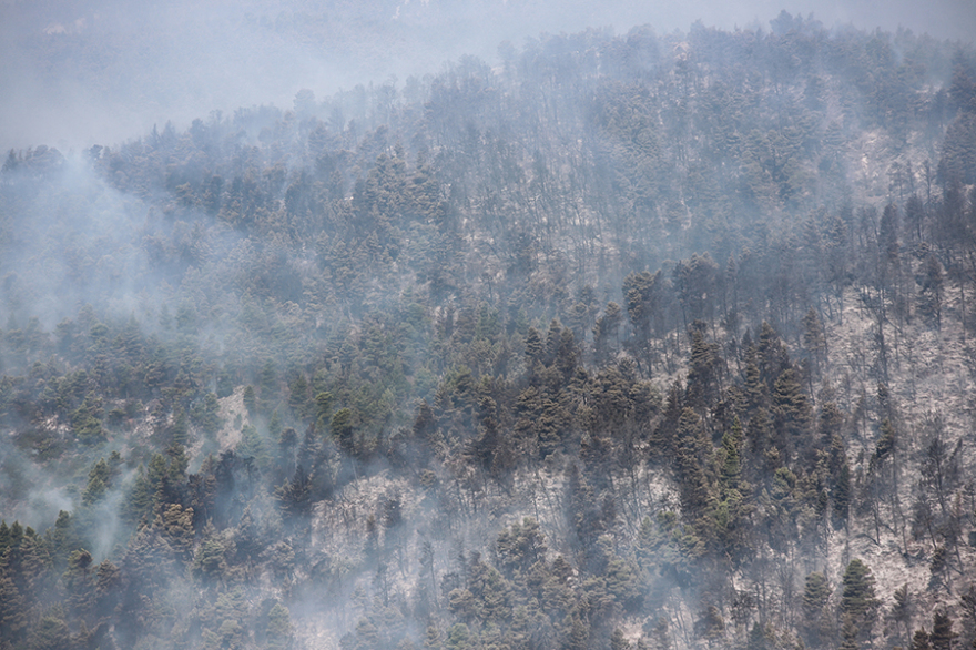 Φωτιά στην Εύβοια: Σαφείς ενδείξεις εμπρησμού - «Αμυνα» για τους οικισμούς οι ζώνες πυρασφάλειας 