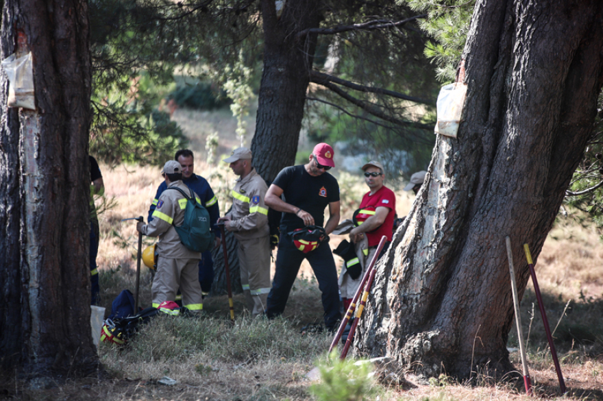 Φωτιά στην Εύβοια: Δοκιμάζονται οι αντοχές των πυροσβεστών - Δείτε φωτογραφίες