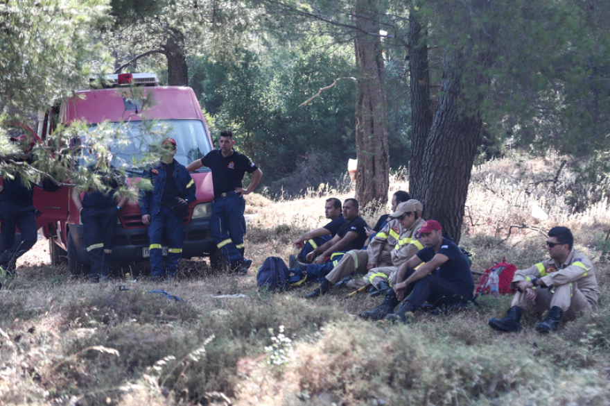 Φωτιά στην Εύβοια: Δοκιμάζονται οι αντοχές των πυροσβεστών - Δείτε φωτογραφίες
