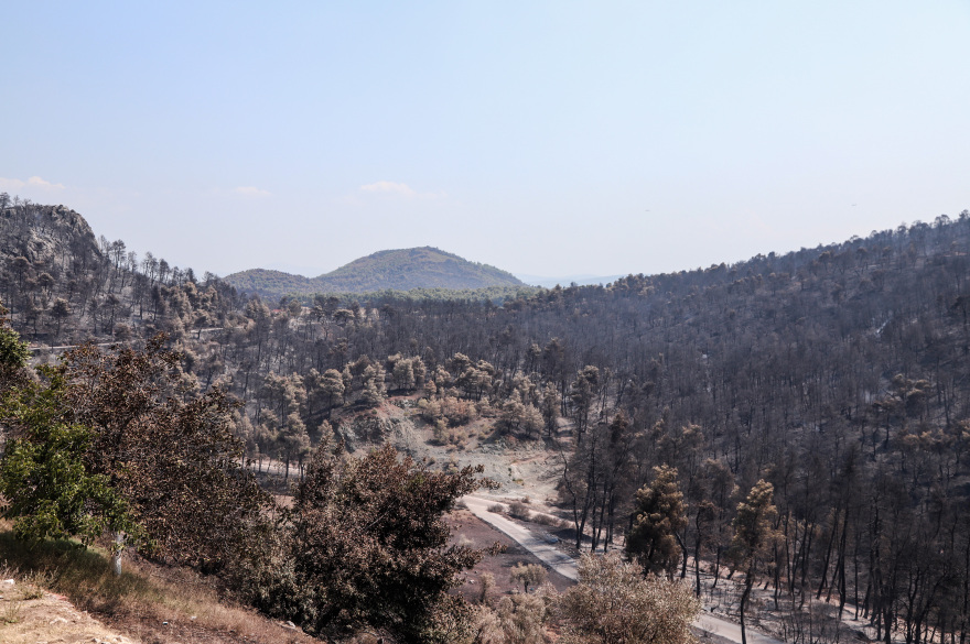 Φωτιά στην Εύβοια: Τα τρία σενάρια που «δείχνουν» εμπρησμό - Οριοθετημένη η πυρκαγιά