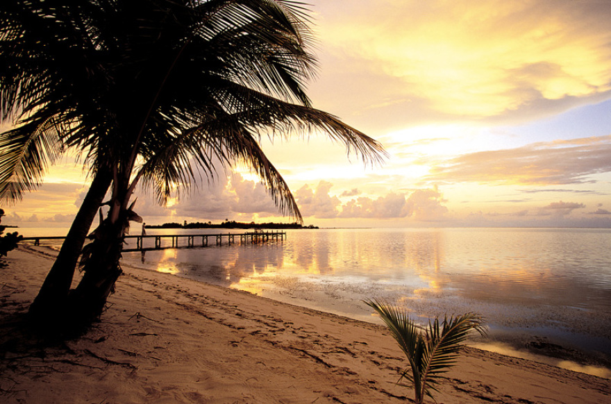 Φωτογραφίες: Οι 15 βασίλισσες της Καραϊβικής