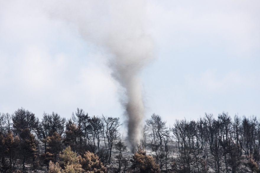 Φωτιά στην Εύβοια: Τα στοιχεία που «δείχνουν» εμπρησμό - Τρία τα ύποπτα άτομα